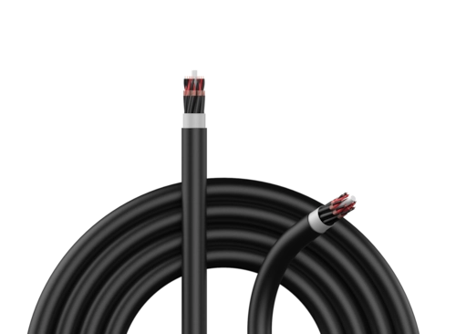 Ses